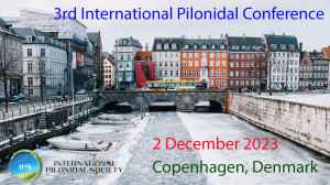 3rd International Pilonidal Conference Summary