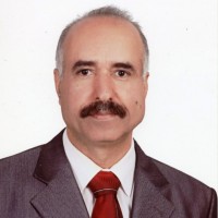 Prof. Tayeb Kareem